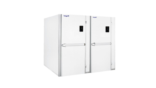 Камера расстоечная на 2 тележки 600х800 или 4 тележки 600х400, с полом и с холодом Hengel Industrie HG1-2-68AL+150